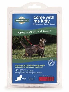 Petsafe Blue Bungee Cat Leash